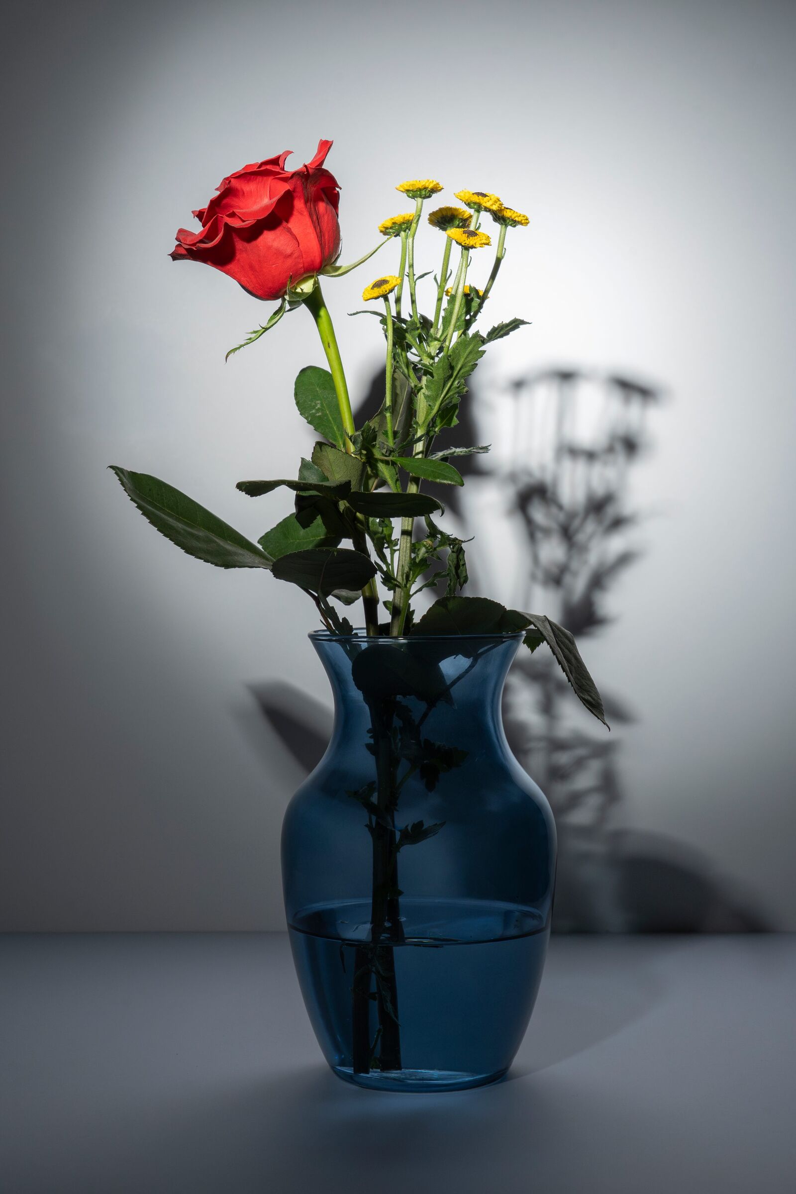 RYB, fotografía 8 — Luis Díaz Gil