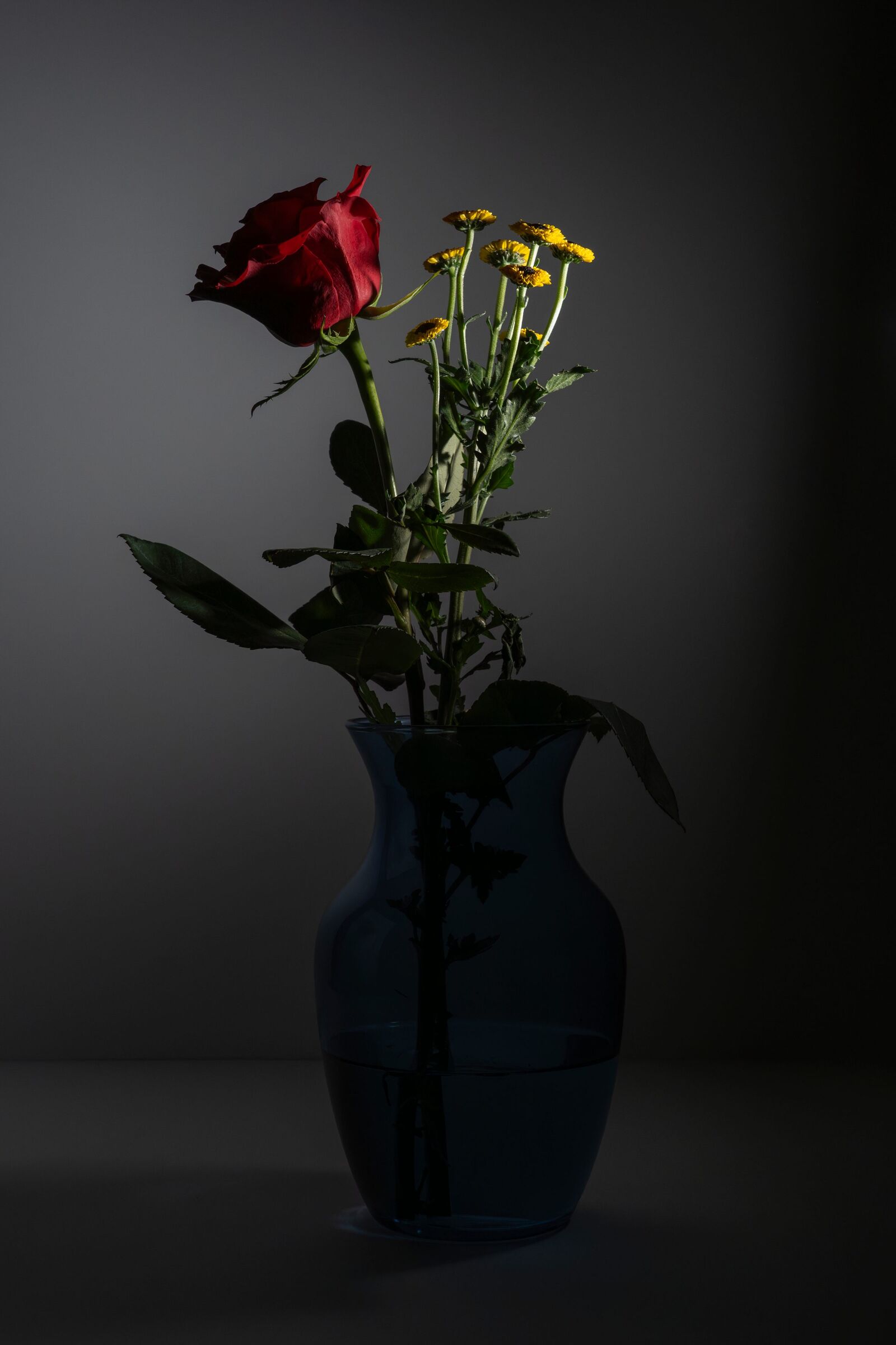 RYB, fotografía 10 — Luis Díaz Gil