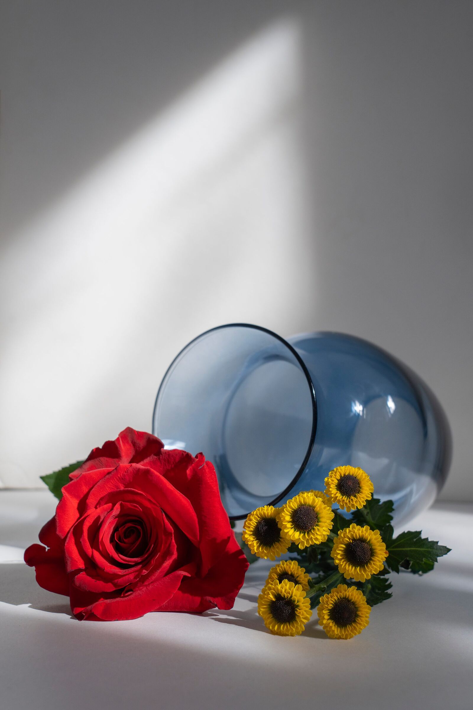 RYB, fotografía 12 — Luis Díaz Gil