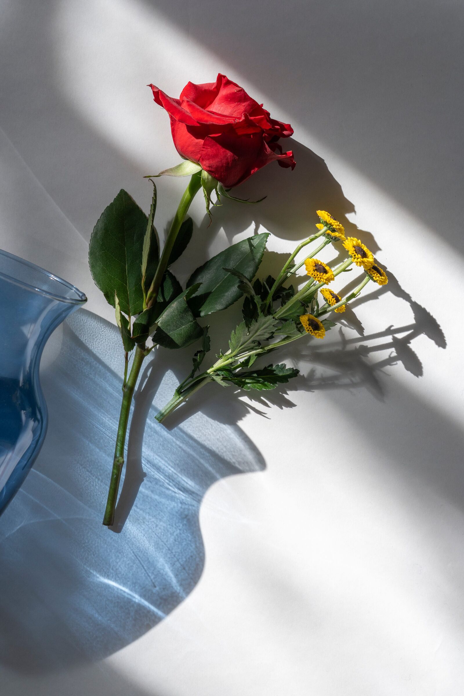 RYB, fotografía 13 — Luis Díaz Gil